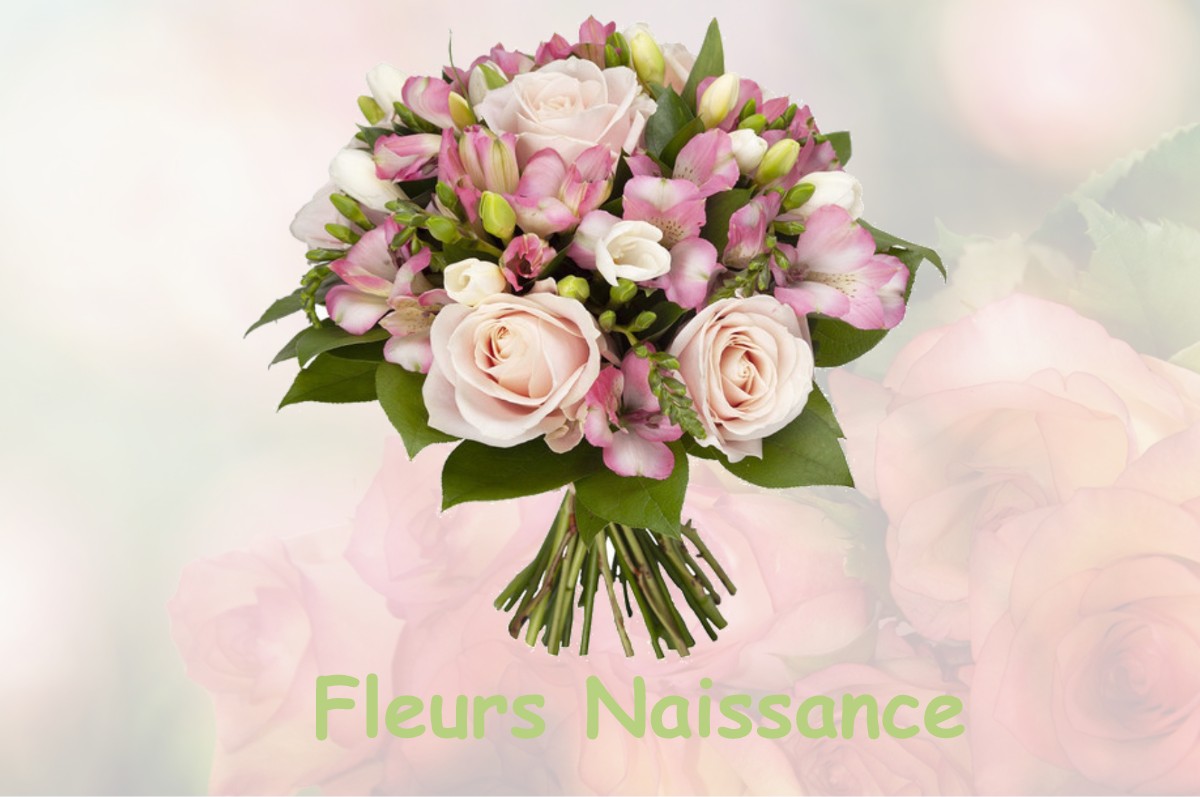 fleurs naissance BEAUMONT-EN-VERDUNOIS