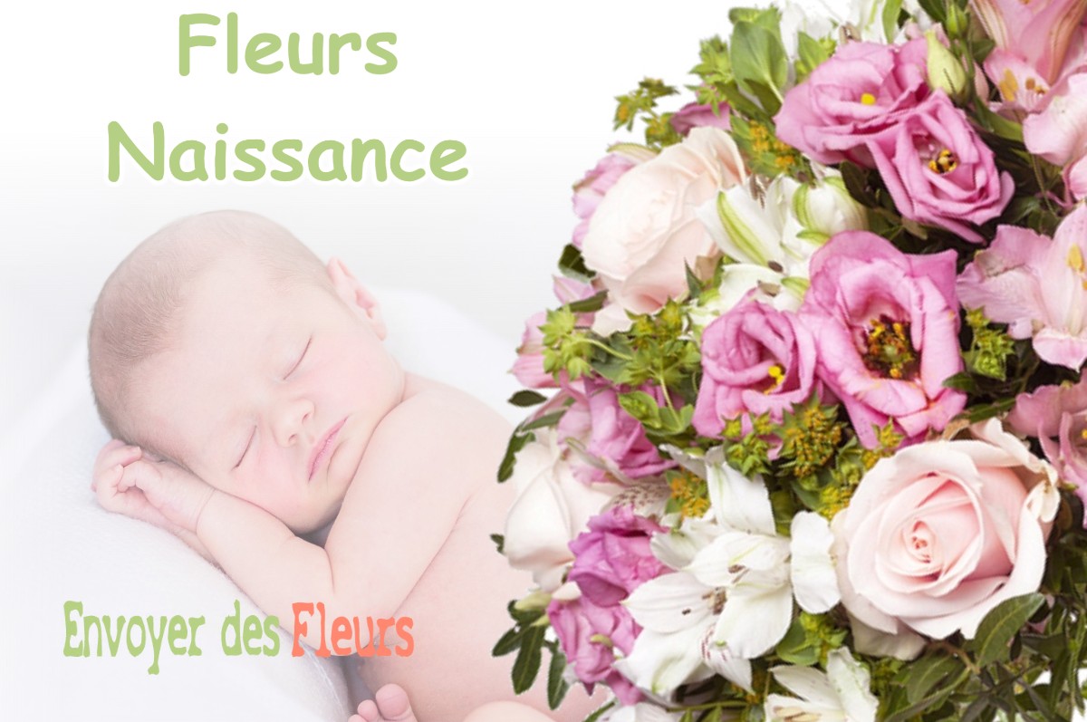 lIVRAISON FLEURS NAISSANCE à BEAUMONT-EN-VERDUNOIS